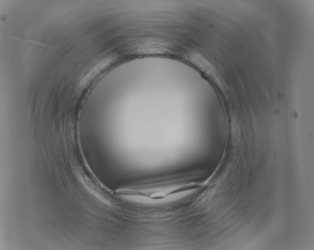 X0000076450533200610271826