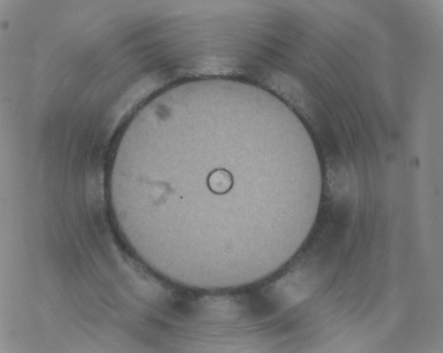 X0000076450534200610271826