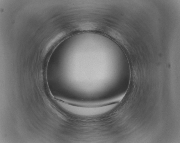 X0000076450535200610271826