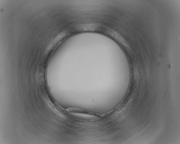 X0000076450537200610271826