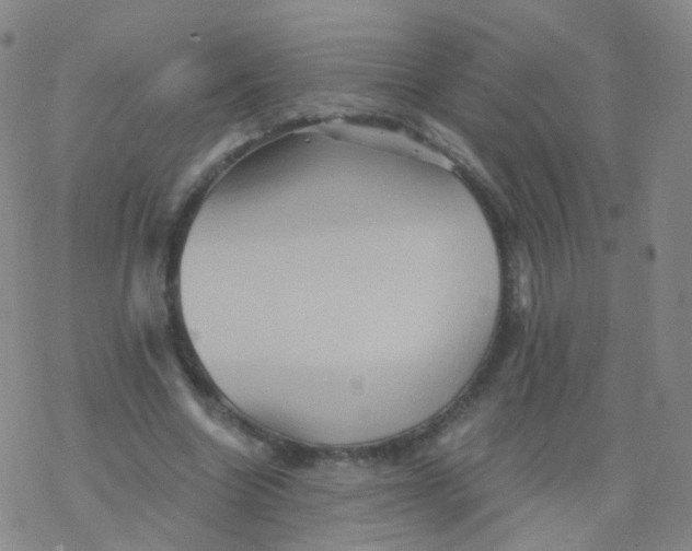 X0000076450538200610271826