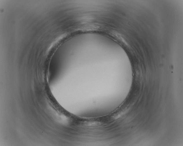 X0000076450539200610271826