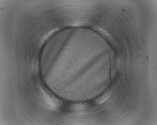 X0000076450540200610271826