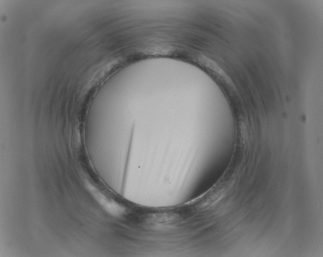 X0000076450541200610271826