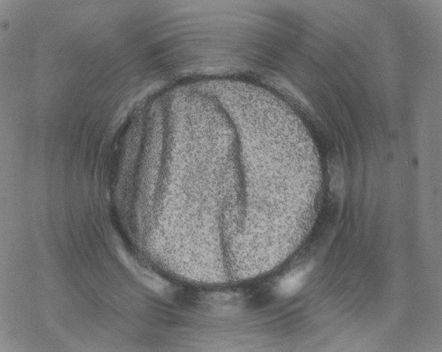 X0000076450542200610271826