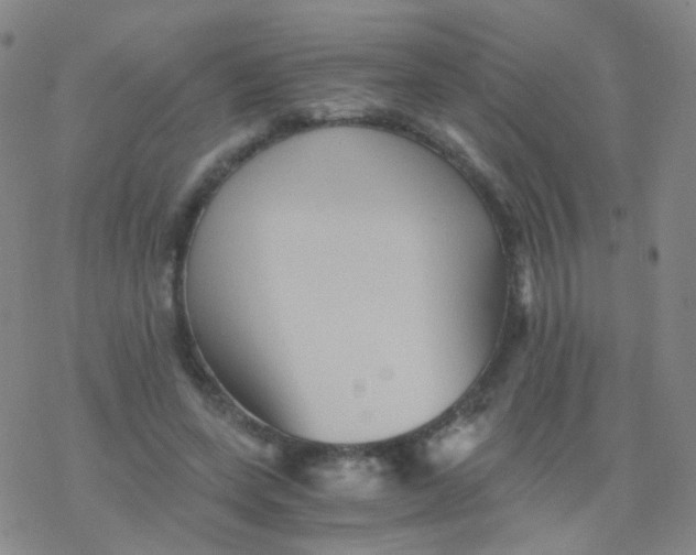 X0000076450543200610271826