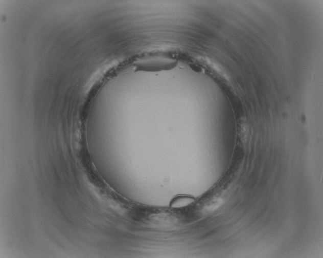 X0000076450544200610271826