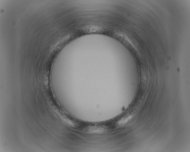 X0000076450545200610271826