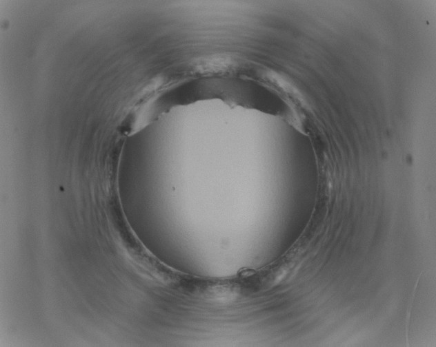 X0000076450546200610271826