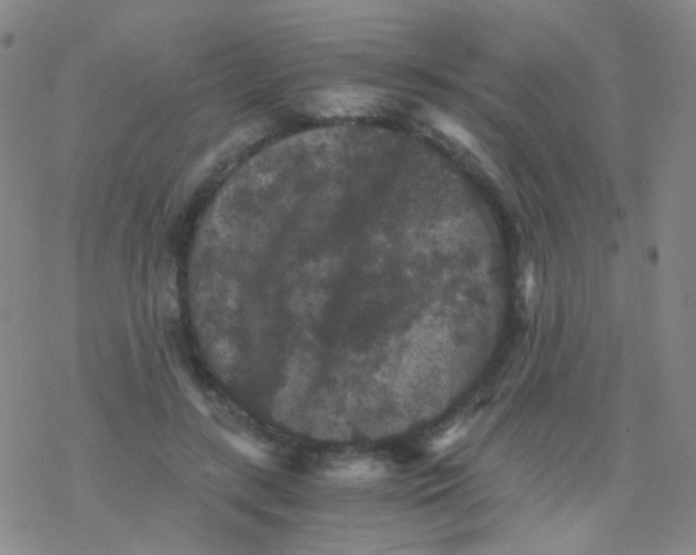 X0000076450547200610271826