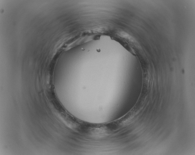 X0000076450548200610271826