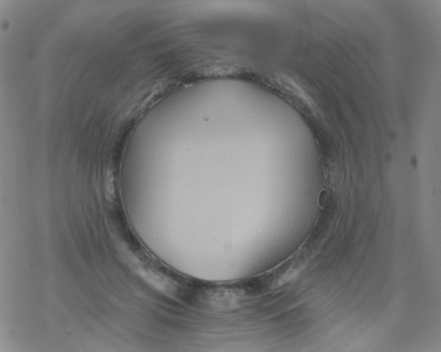 X0000076450549200610271826