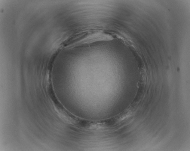 X0000076450550200610271826