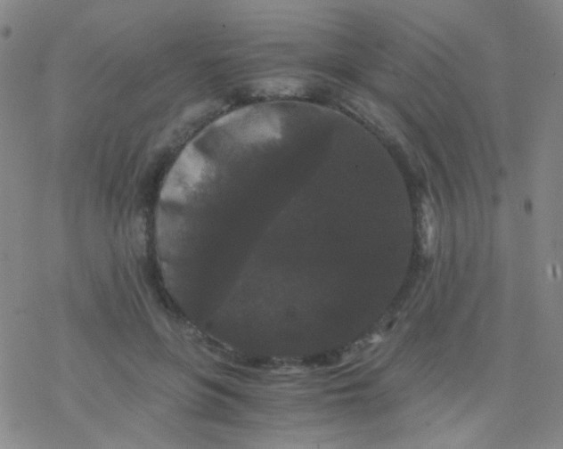 X0000076450551200610271826