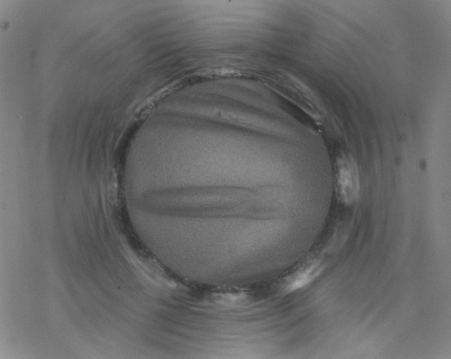 X0000076450552200610271826