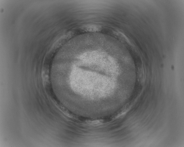 X0000076450553200610271826