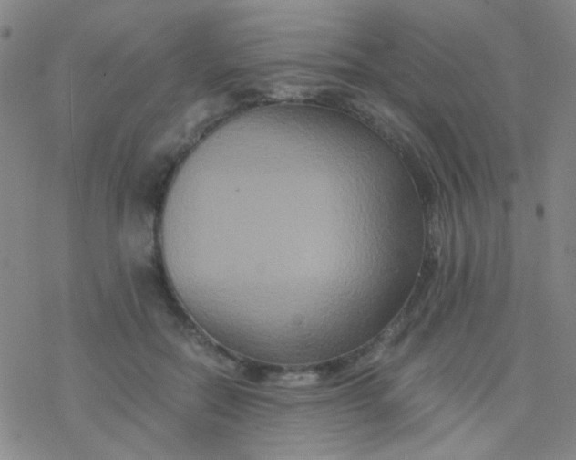 X0000076450554200610271827