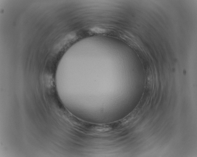 X0000076450555200610271827