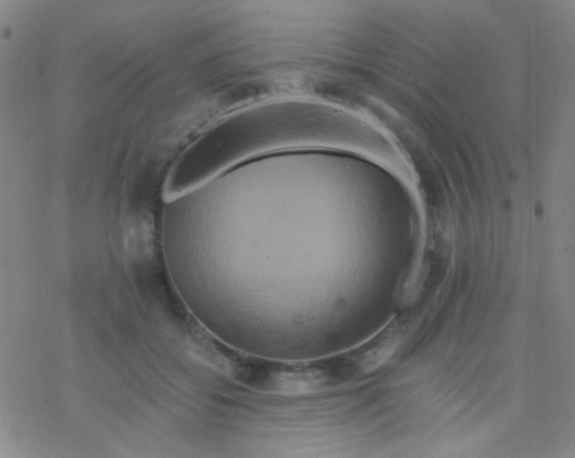 X0000076450556200610271827