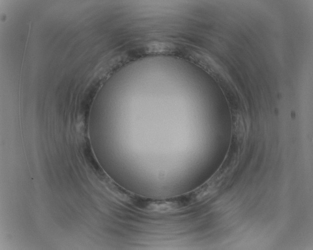 X0000076450557200610271827