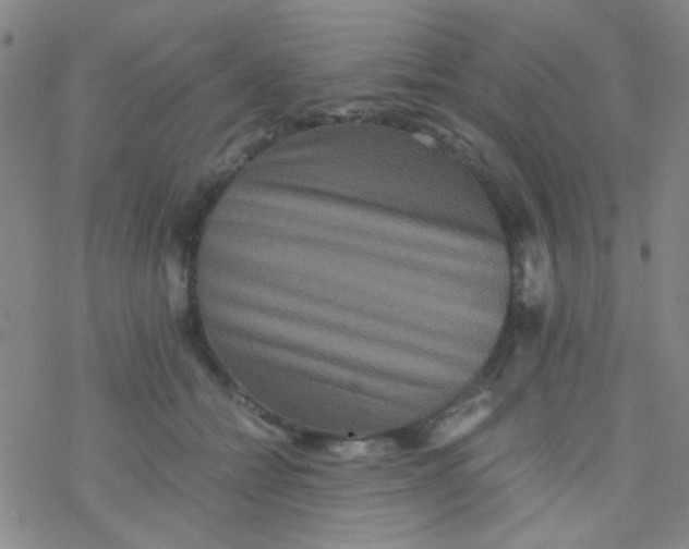 X0000076450558200610271827