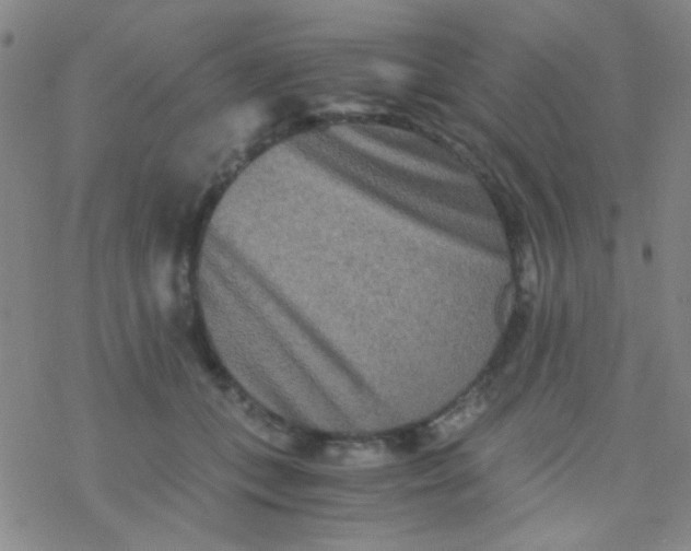 X0000076450559200610271827