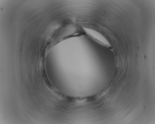 X0000076450560200610271827