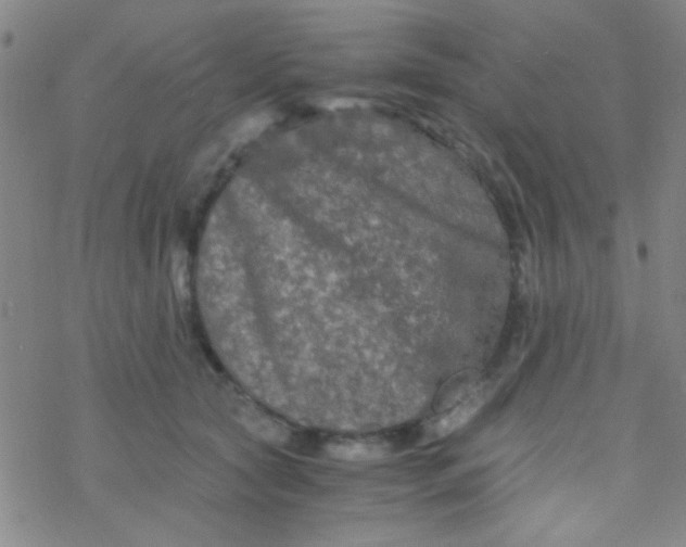 X0000076450561200610271827