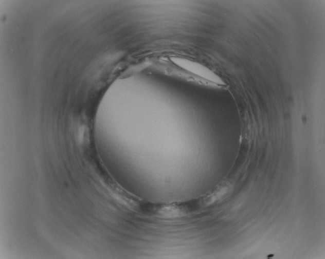 X0000076450562200610271827