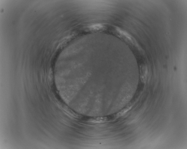 X0000076450563200610271827