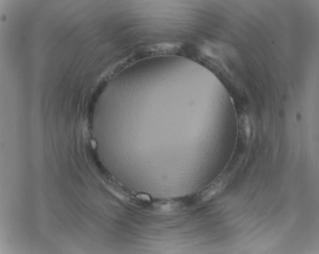 X0000076450564200610271827