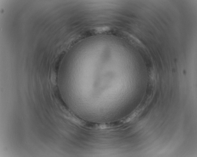 X0000076450565200610271827