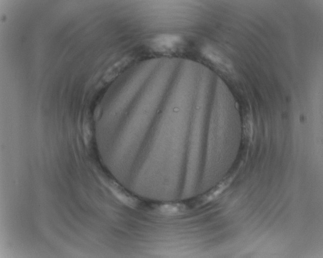 X0000076450566200610271827