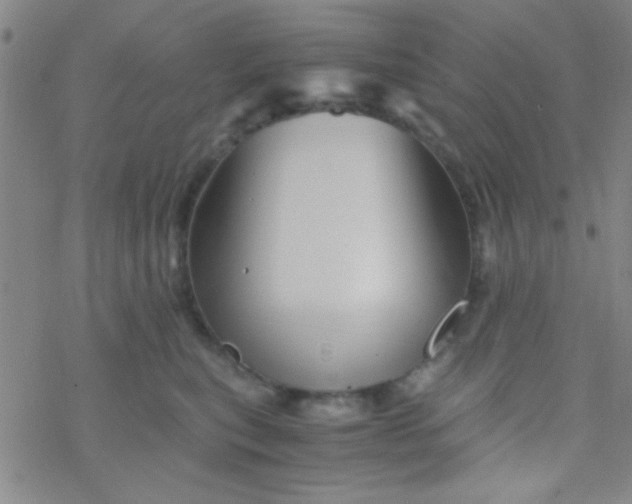 X0000076450567200610271827