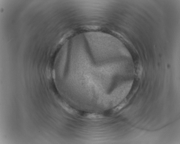 X0000076450568200610271827