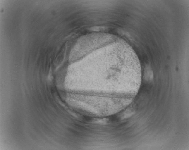 X0000076450569200610271827