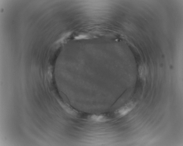 X0000076450570200610271827