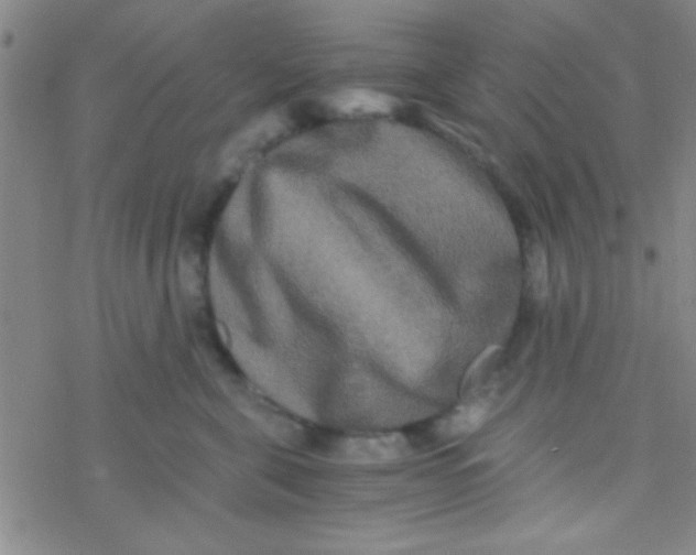 X0000076450571200610271827