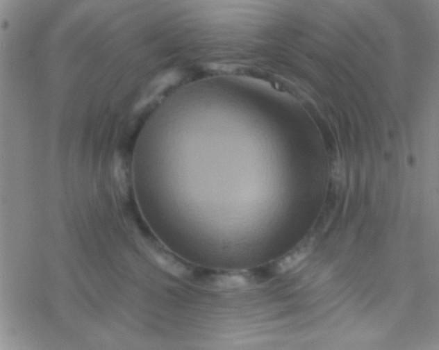 X0000076450572200610271827