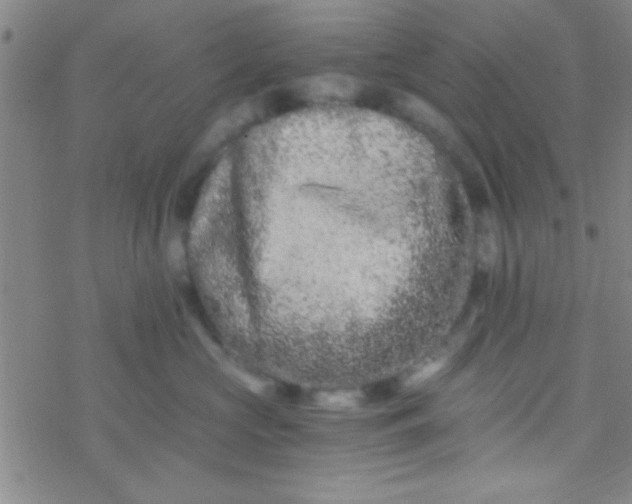 X0000076450573200610271827