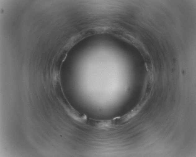 X0000076450574200610271827