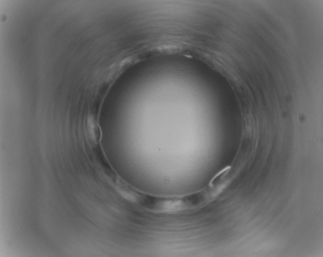 X0000076450575200610271827