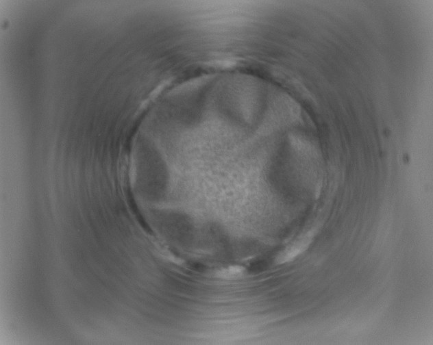 X0000076450576200610271827