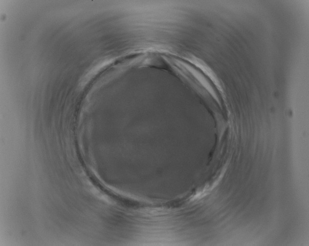 X0000076450577200610271826