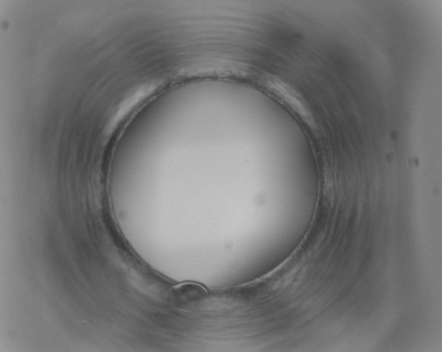 X0000076450578200610271826