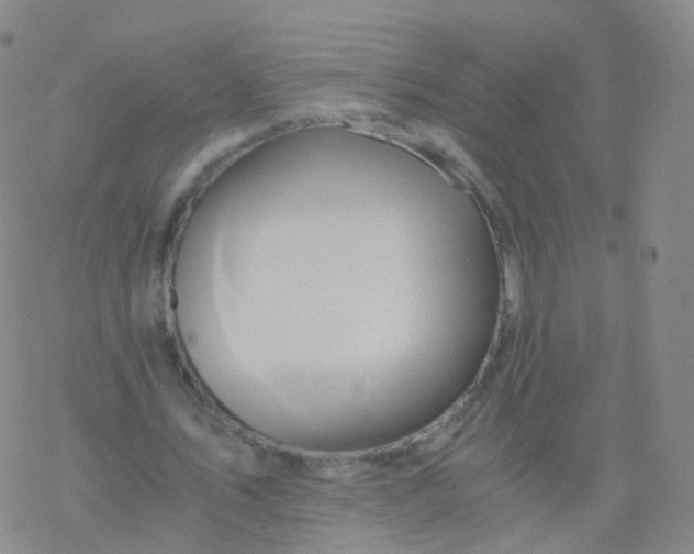 X0000076450579200610271826