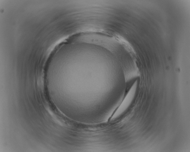 X0000076450580200610271826