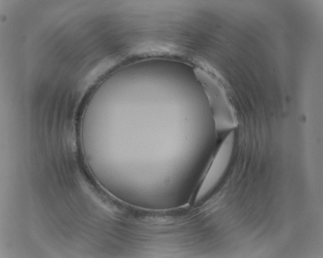 X0000076450582200610271826