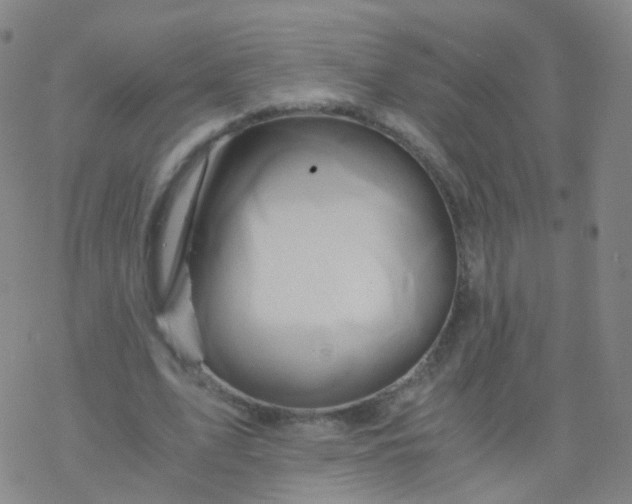 X0000076450583200610271826