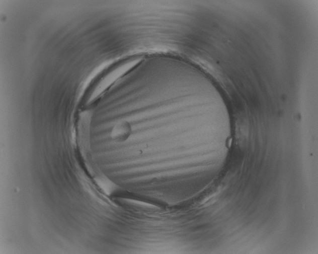 X0000076450584200610271826